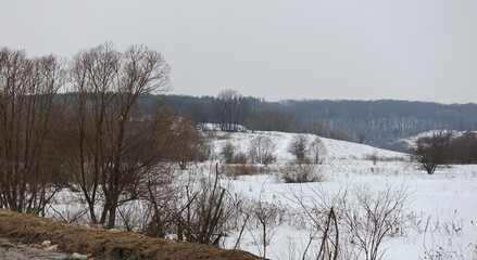Winter landscape with forest on snowy hills