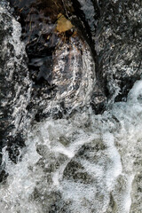 abstract whitewater background flow stream river nature motion texture with single autumn yellow leaf