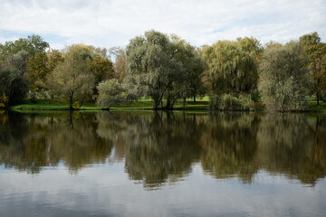 Fototapeta premium Landscape with waterline, birds, reeds and vegetation, water reflections in the Chisinau Botanical Garden Moldova