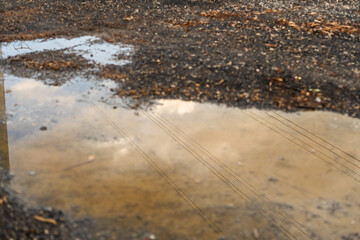 Rain puddle reflecting power lines and sky on muddy ground