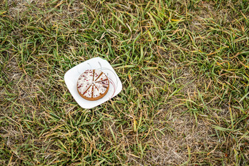 Dog birthday cake with white icing on plate placed on grassy field - Powered by Adobe