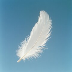 Fototapeta premium Delicate white feather floating against a clear blue sky