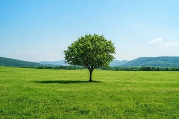 Obraz premium single tree in the center. a calm and serene landscape with rolling green hills, a clear blue sky.