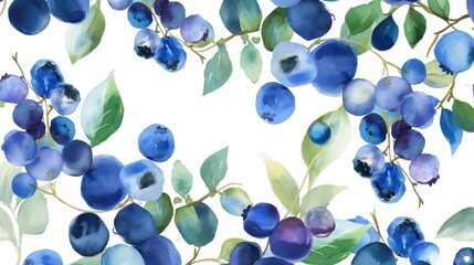 Blueberries with leaves on a white background. Watercolor blueberries.