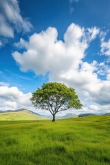 Fototapeta premium Scenic landscape with a lone tree in a grassy field under a cloudy blue sky