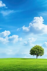 Serene landscape with a lone tree on a grassy hill under a blue sky with fluffy white clouds