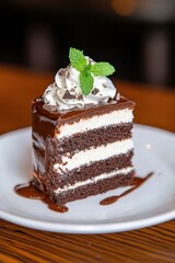 Delectable chocolate cake slice with whipped cream and mint garnish