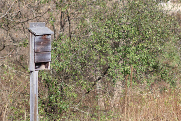 bat nesting house against a forest environment background