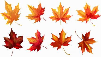 Obraz premium autumn maple leaves background isolated
