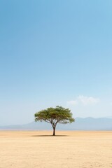 Lone tree in arid landscape under blue sky