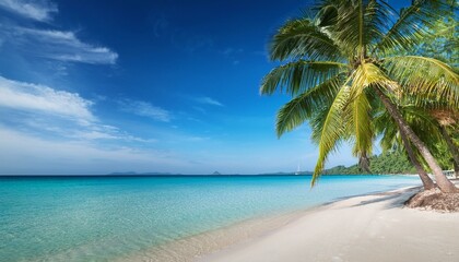 Obraz premium Beautiful tropical beach with palm trees, sunset beach seascape, design template for travel banner.