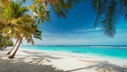 Obraz premium Beautiful tropical beach with palm trees, sunset beach seascape, design template for travel banner.