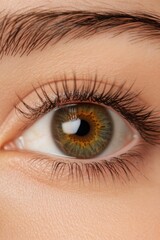 Obraz premium Closeup of a human eye with long eyelashes and a vibrant green iris