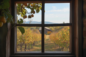 Fototapeta premium Tranquil Orchard View from Agricultural Homestead: Harvest Season Concept