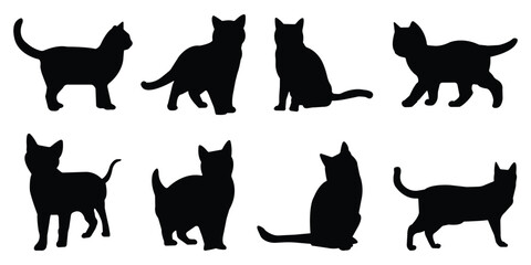 Collection of black cat silhouettes in various poses. Set of black cat silhouette. Kitten silhouette collection isolated on white background..
