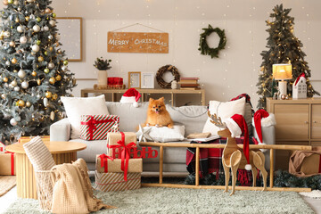 Cute Pomeranian dog with Christmas gifts and decorations sitting on cushion at home