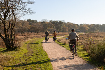 Obraz premium Elderly people enjoy the beautiful autumn weather by bike in the Zuiderheide nature reserve between Laren and Hilversum.