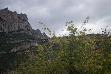 Huge rocky mountains covered with green forest. Clouds lie on the tops.