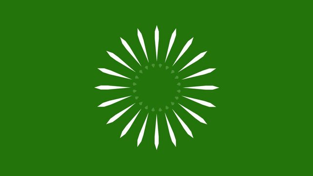 Graphic shape star firework element on green background, 4k Falling Stars Background stock video, with color effect Animated Text With USA National Flag and Fireworks, 4k,