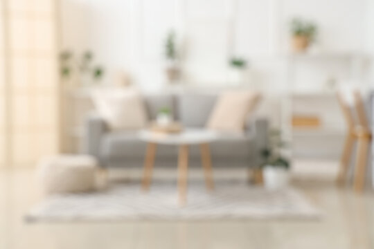 Blurred view of light living room with grey sofa, table and plants