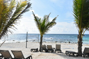 Tropical beach scene with swaying palm trees, lounge chairs, and a stunning ocean view. 