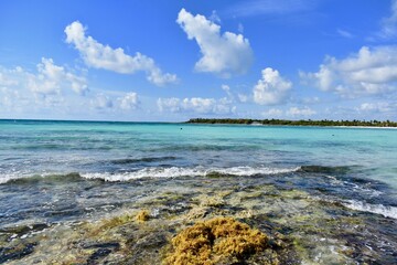 Panoramic view of a pristine tropical beach with crystal-clear azure waters and lush palm trees lining the shore.
