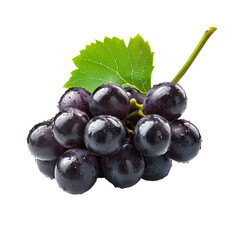 Fresh black grapes with dew in natural sunlight