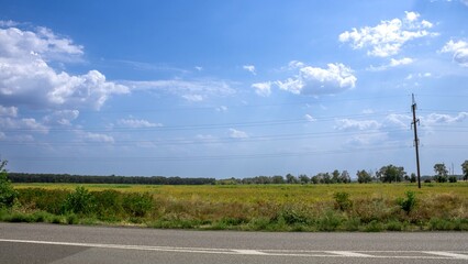 Expansive rural landscape with a clear sky and distant trees along a quiet road on a sunny day