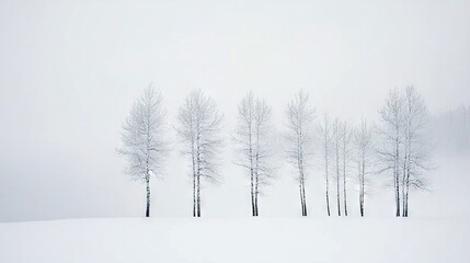   A cluster of trees, surrounded by snow-covered field under hazy sky