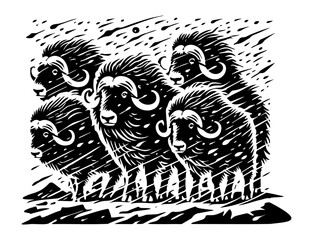 Obraz premium Herd of muskox braving a snowstorm, with textured fur and strong stances, capturing the harshness of Arctic life ¥