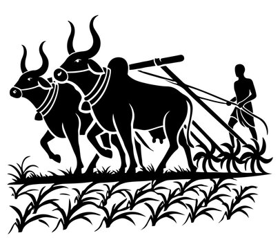 Zebu Indicine Cattle Plowing Fields
A traditional farming scene depicted in a black-and-white vector, showing a farmer with Zebu cattle plowing fields.