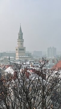 Ratusz w Opolu