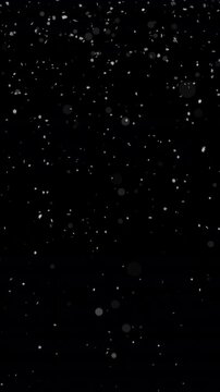 Vertical falling snow animation - winter snow,  seamless loop. ProRes4444 - Full HD with alpha channel. Just paste into your project.