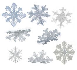Set of realistic beautiful snowflakes , isolated. PNG file with transparency. Ai 