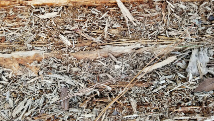 Deconstructed tree