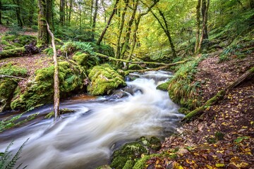 Obraz premium Gorges de la Canches Morvan France