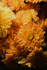 A vibrant close-up of orange and yellow chrysanthemum blooms showcases the intricate beauty of nature