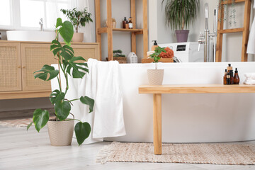 Interior of light bathroom with bathtub and bathing accessories on wooden bench