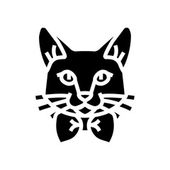 bowtie cat breeding glyph icon vector. bowtie cat breeding sign. isolated symbol illustration