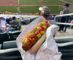 Hot Dog at a Baseball Game  © Maria