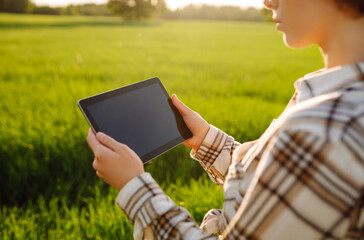 Smart farm. Woman farmer works digital tablet in green field. Growth dynamics.