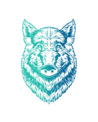 Head of a wild boar. Original vector illustration in vintage style. T-shirt design.