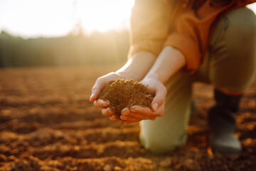 Women's hands sort through black soil in the field. Young woman farmer examining soil with hands during a sunny afternoon in the countryside. Fertile land.