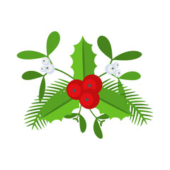 Christmas floral border. Spruce evergreen branch, poinsettia and holly berry