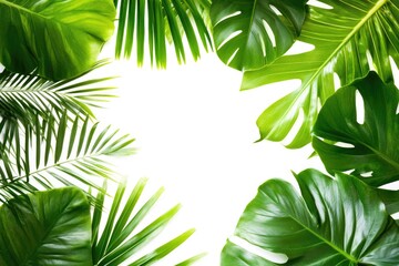 A cluster of fresh green leaves, ideal for backgrounds or nature scenes