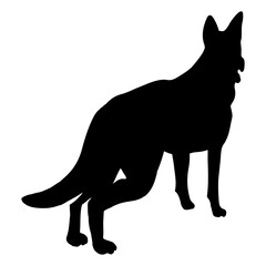 Dog clip art design on plain white transparent isolated background for card, shirt, hoodie, sweatshirt, apparel, card, tag, mug, icon, poster or badge