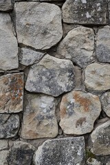 Close-up shot of a stone wall covered in lush green moss, great for interior design or architecture concepts