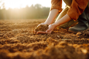 Women's hands sort through black soil in the field. Young woman farmer examining soil with hands during a sunny afternoon in the countryside. Fertile land.