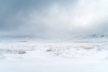 A single horse stands in a snow-covered field, perfect for winter scenes and rural settings