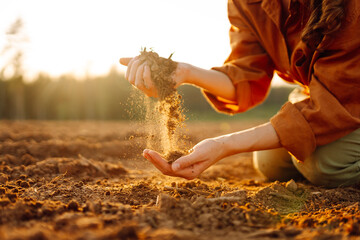 Women's hands sort through black soil in the field. Young woman farmer examining soil with hands during a sunny afternoon in the countryside. Fertile land.